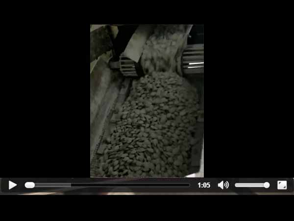 �����V�ۉ���ҕ�l